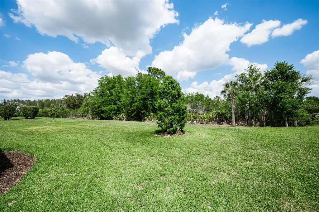 11151 Calluna Drive Odessa FL 33556
