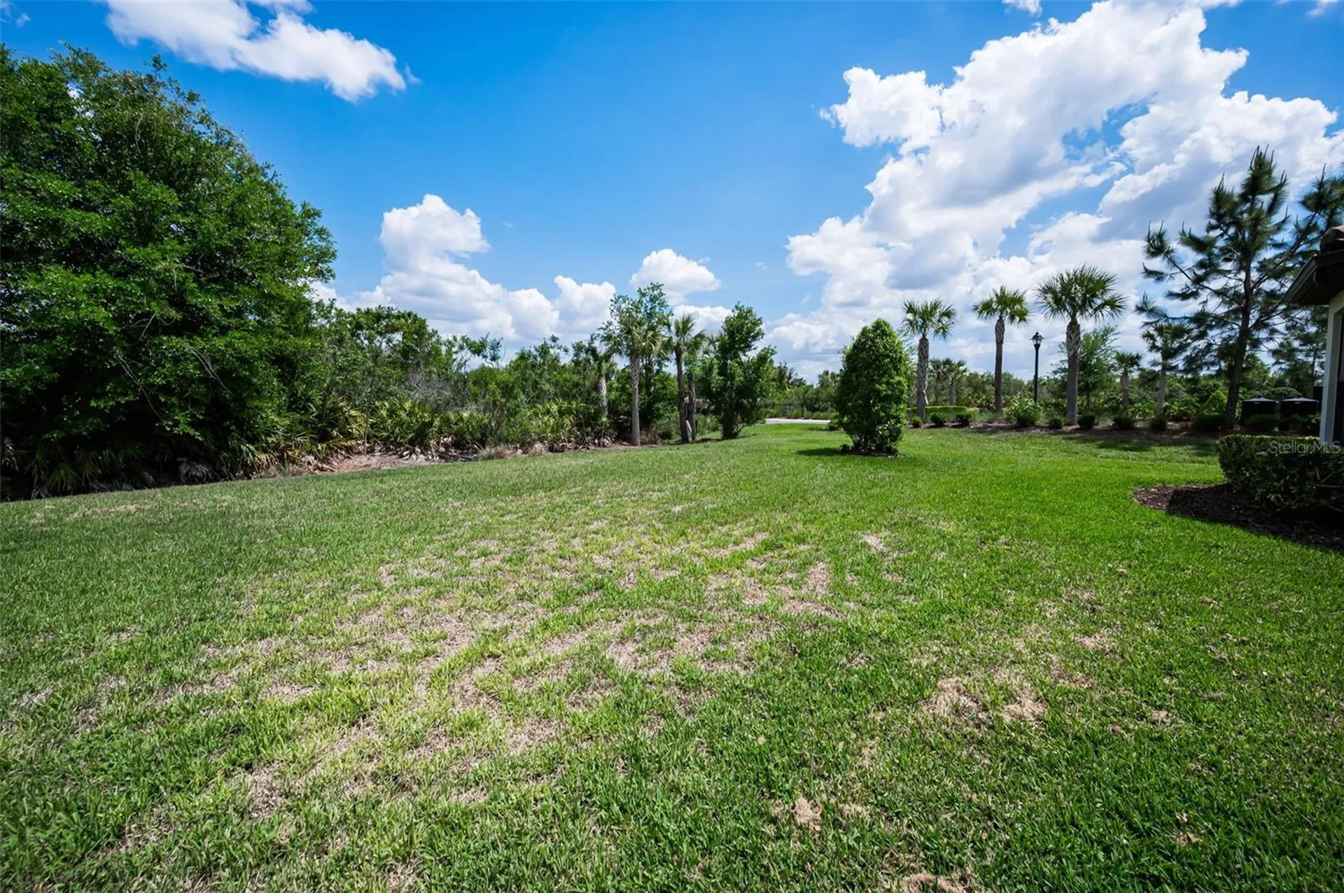 11151 Calluna Drive Odessa FL 33556