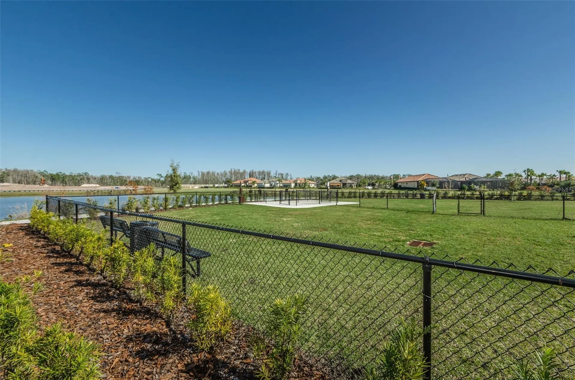 11151 Calluna Drive Odessa FL 33556