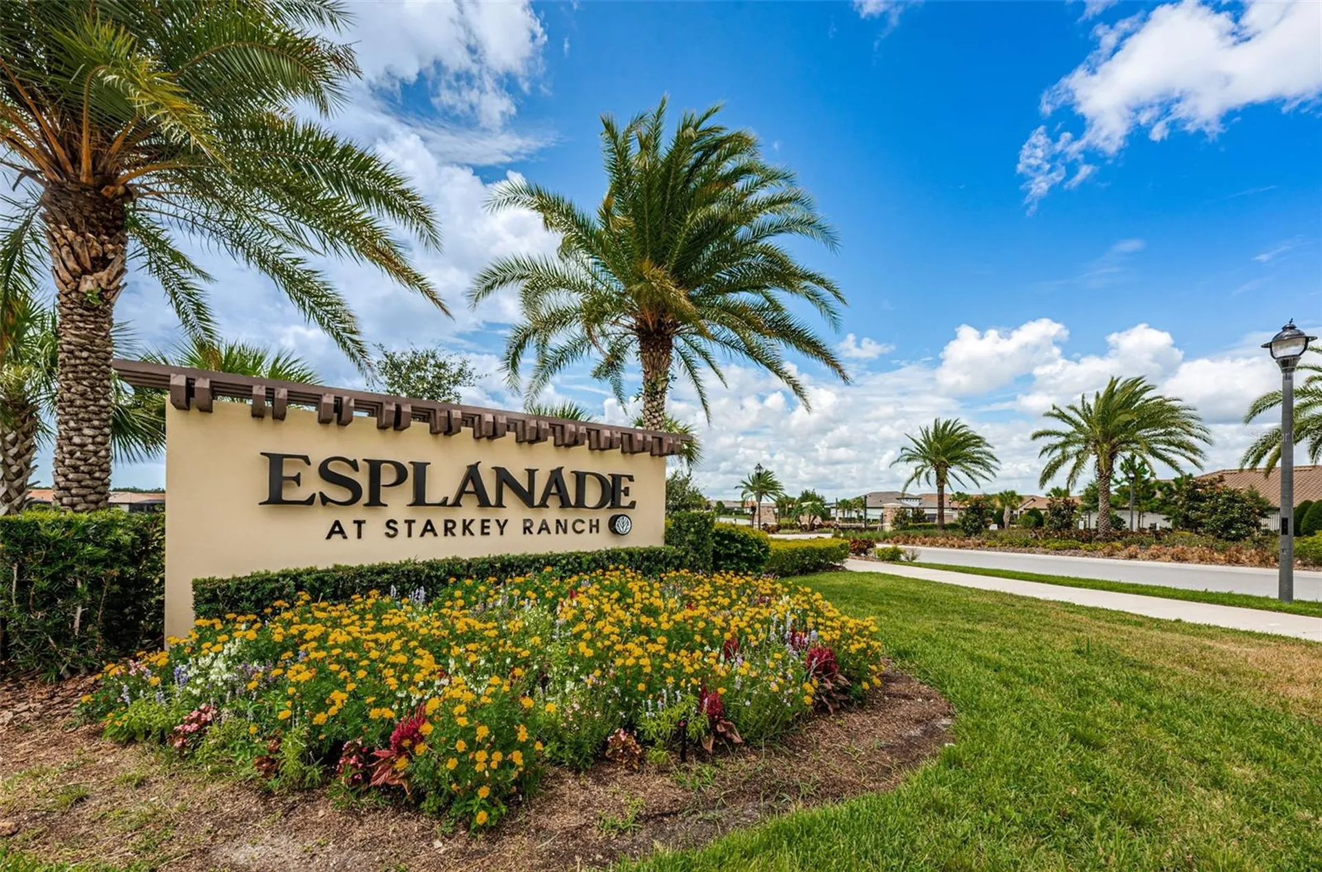 11151 Calluna Drive Odessa FL 33556