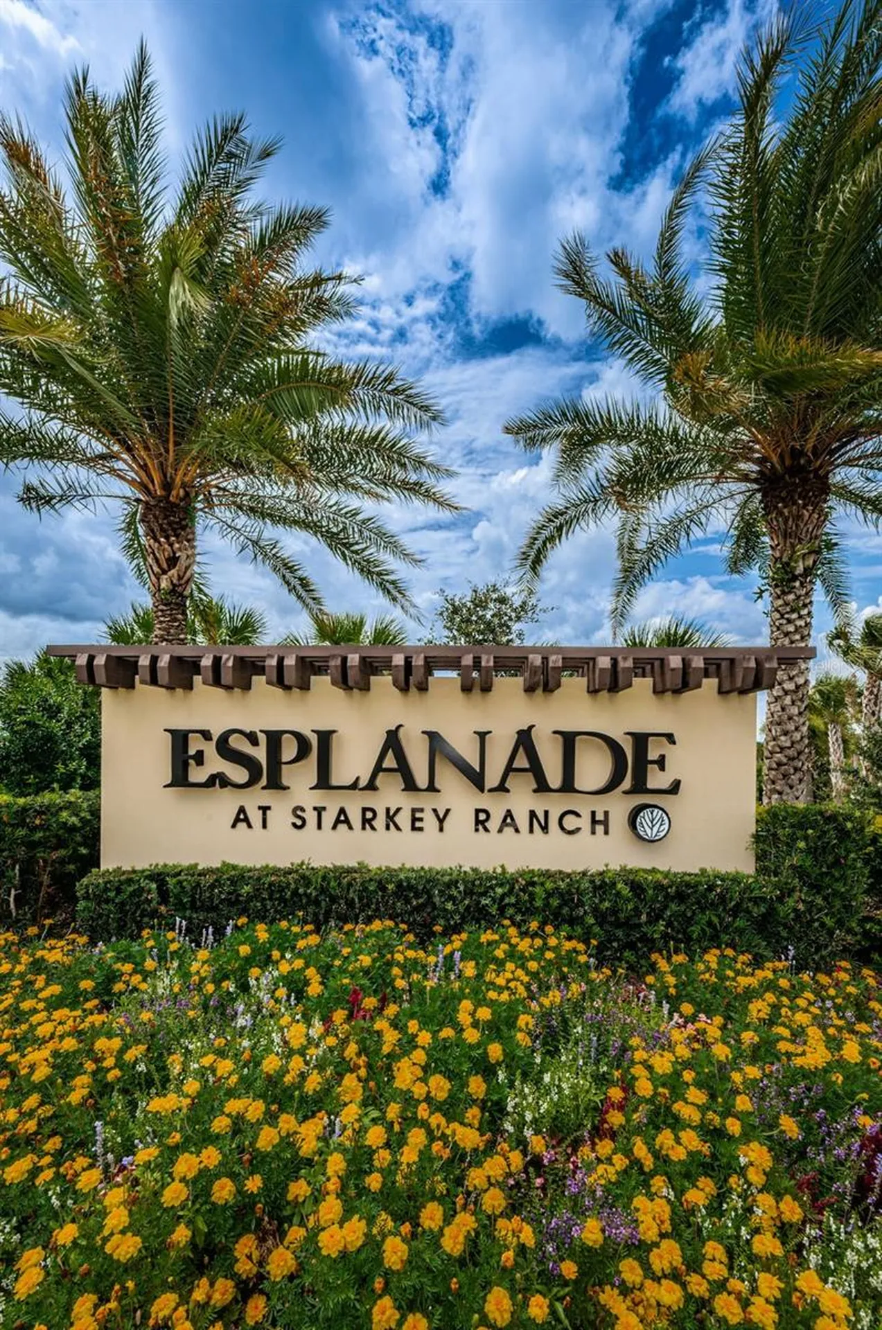 11151 Calluna Drive Odessa FL 33556