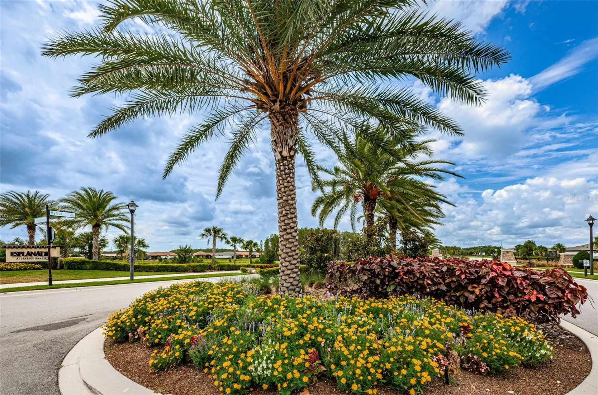 11151 Calluna Drive Odessa FL 33556