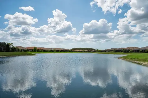 11151 Calluna Drive Odessa FL 33556