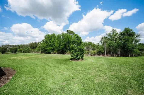 11151 Calluna Drive Odessa FL 33556