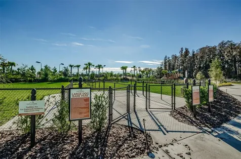 11151 Calluna Drive Odessa FL 33556