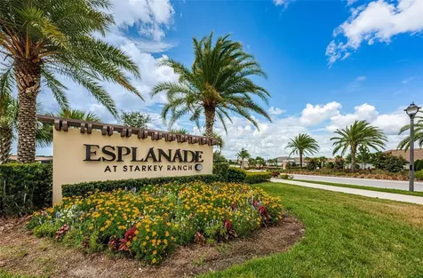 11151 Calluna Drive Odessa FL 33556