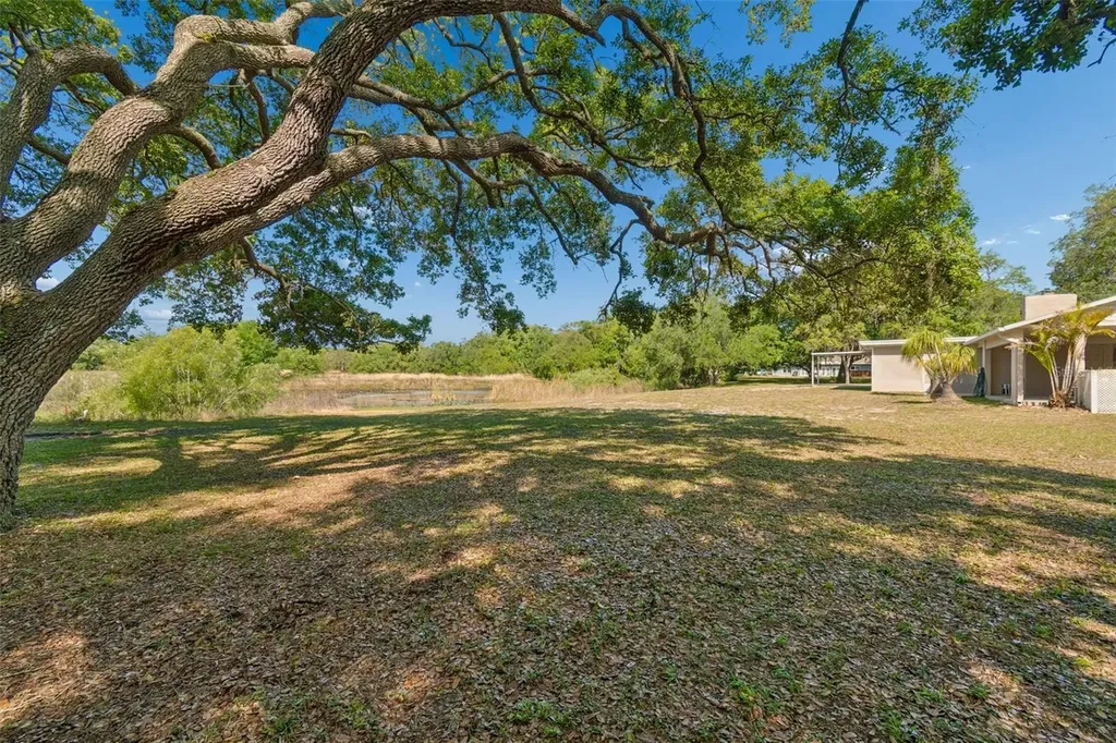 9035 Sharon Drive New Port Richey FL 34654