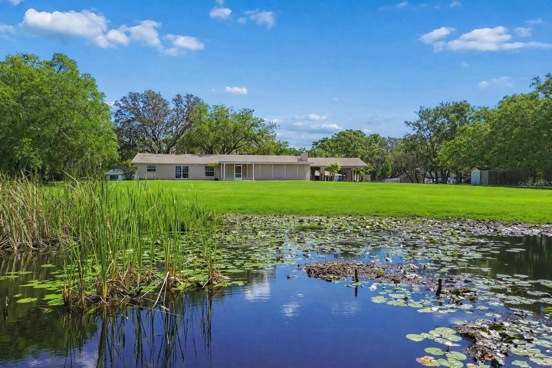 9035 Sharon Drive New Port Richey FL 34654