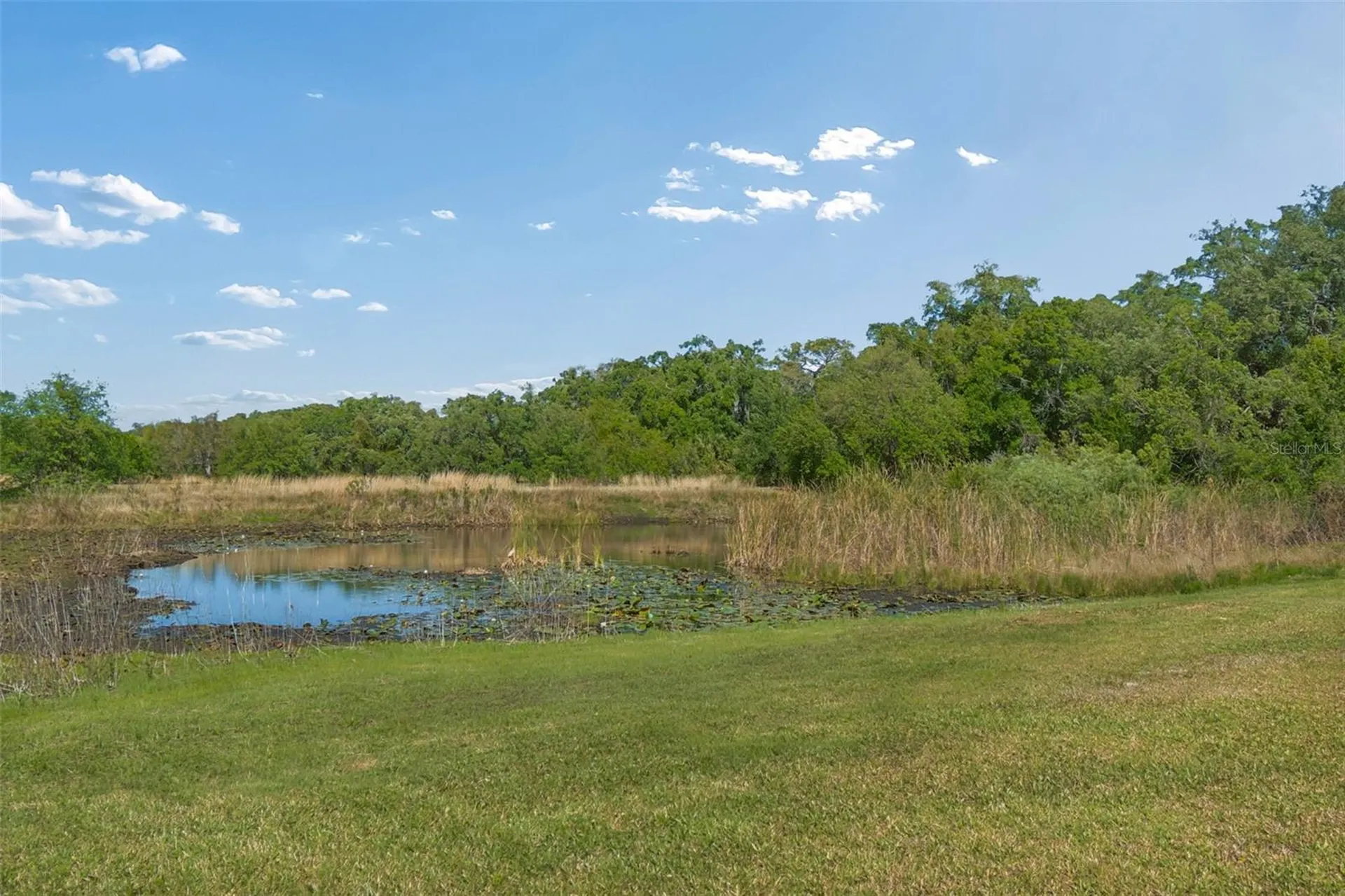 9035 Sharon Drive New Port Richey FL 34654