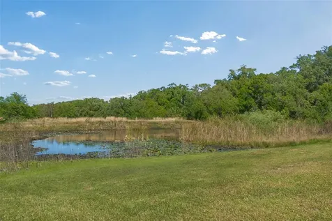 9035 Sharon Drive New Port Richey FL 34654