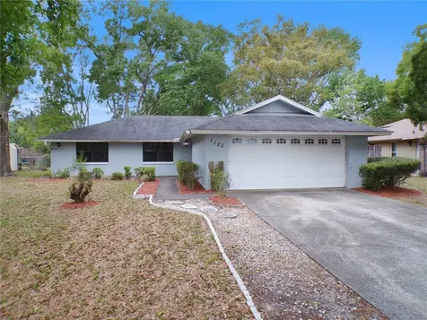 1123 Foggy Ridge Parkway Lutz FL 33559