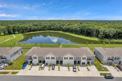 1347 Colt Creek Place Wesley Chapel FL 33543