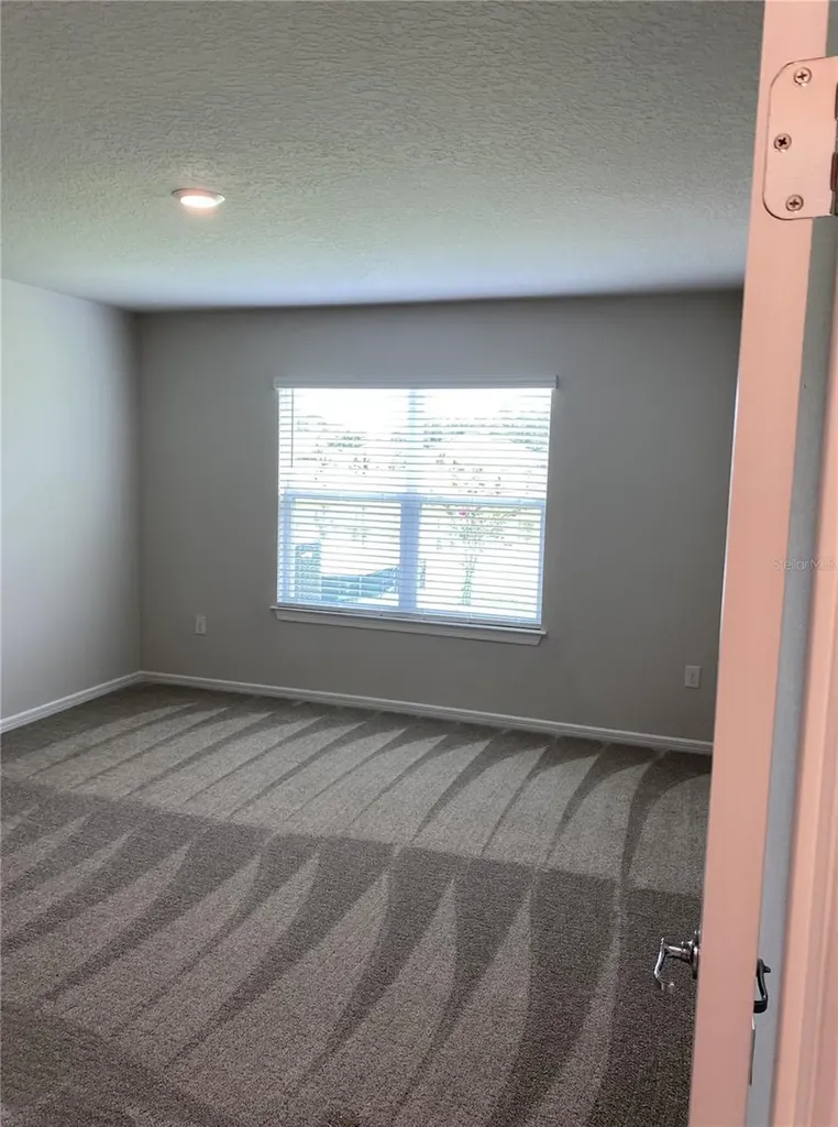 6348 Dutton Drive Wesley Chapel FL 33545