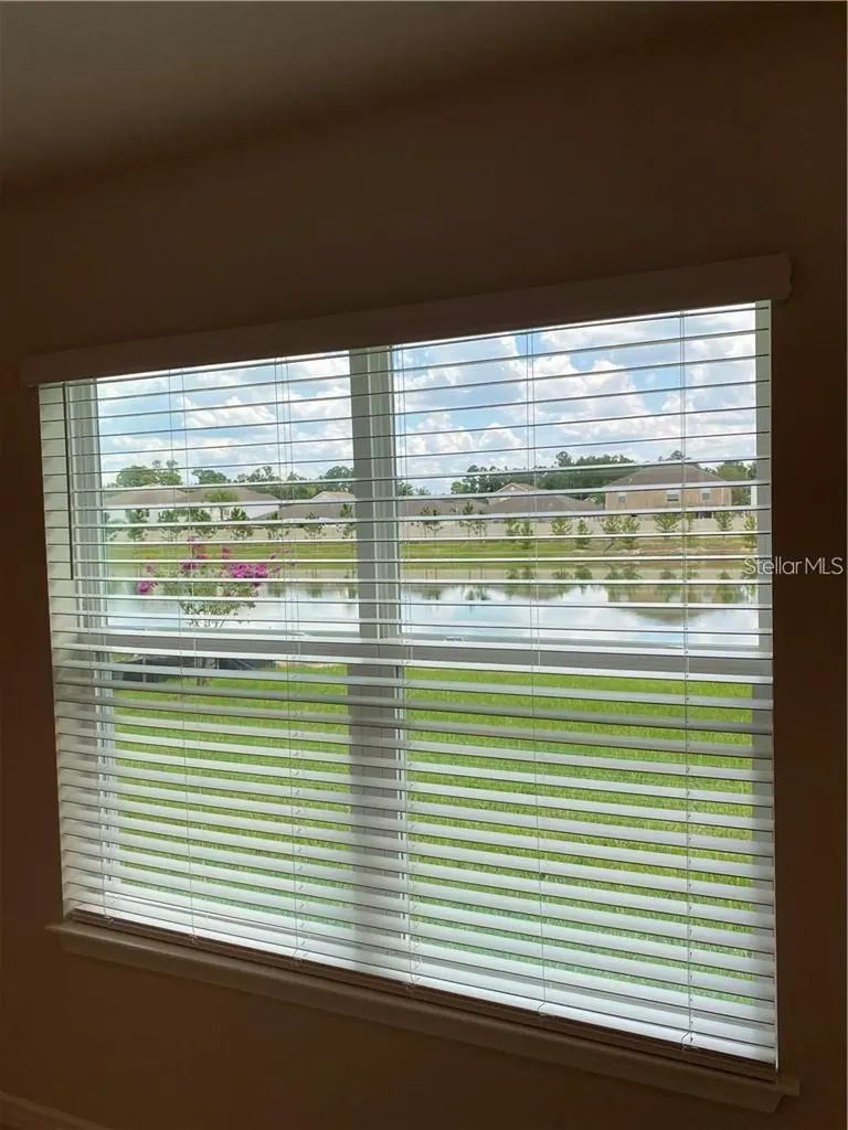 6348 Dutton Drive Wesley Chapel FL 33545