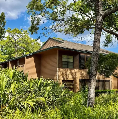 1001 Lennox Road W Palm Harbor FL 34683