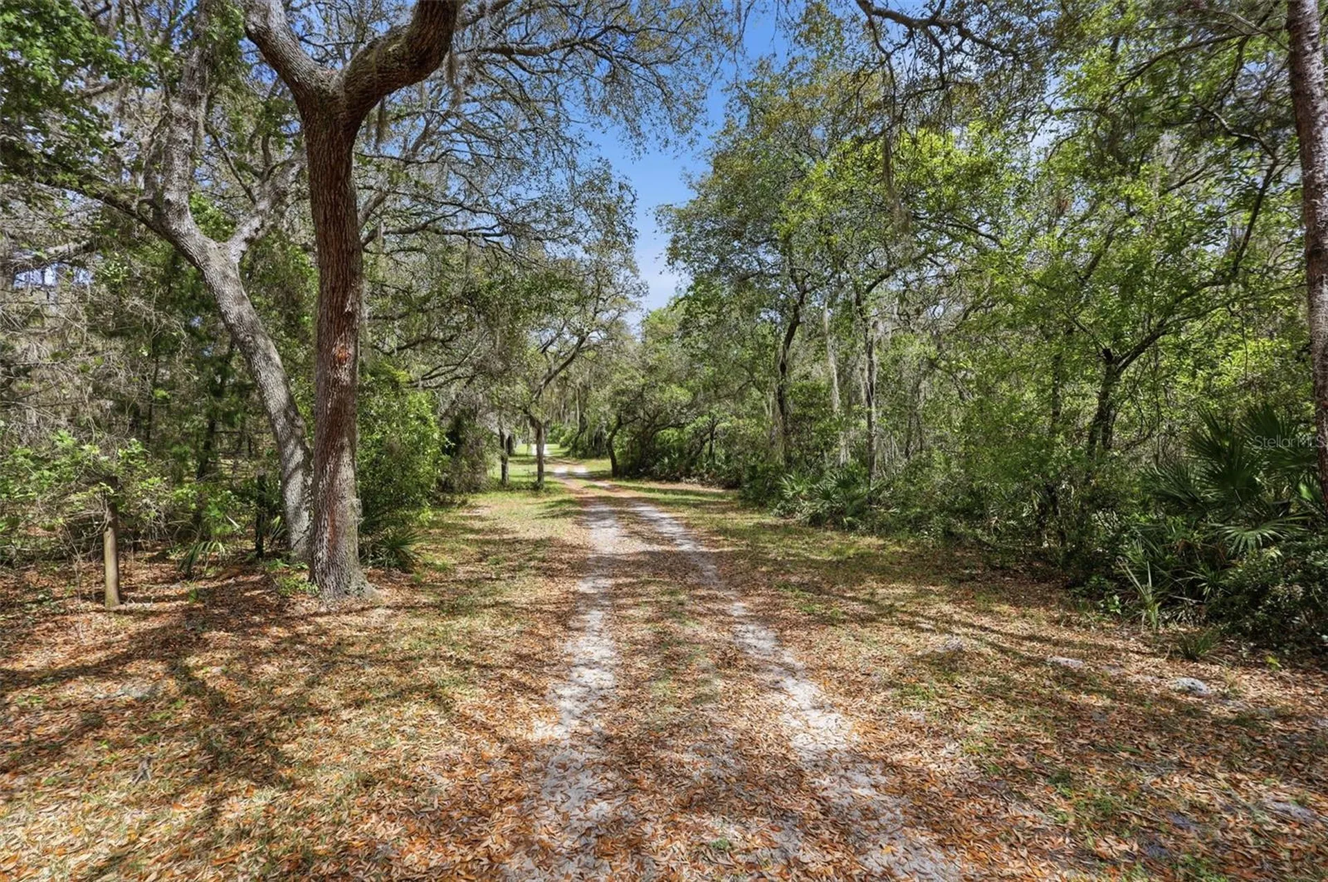 4155 Marsh Road Deland FL 32724
