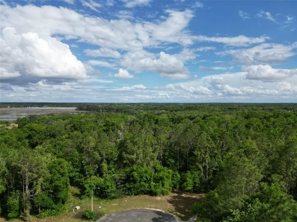 0000 SE 119 Street Belleview FL 34420
