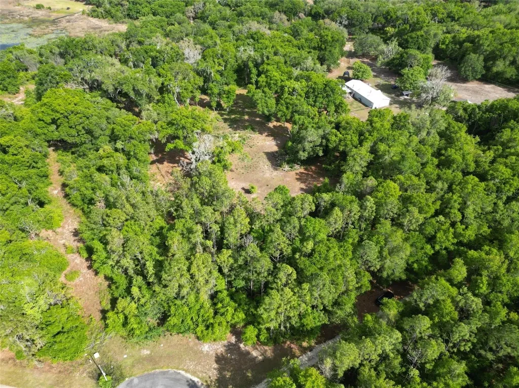 0000 SE 119 Street Belleview FL 34420