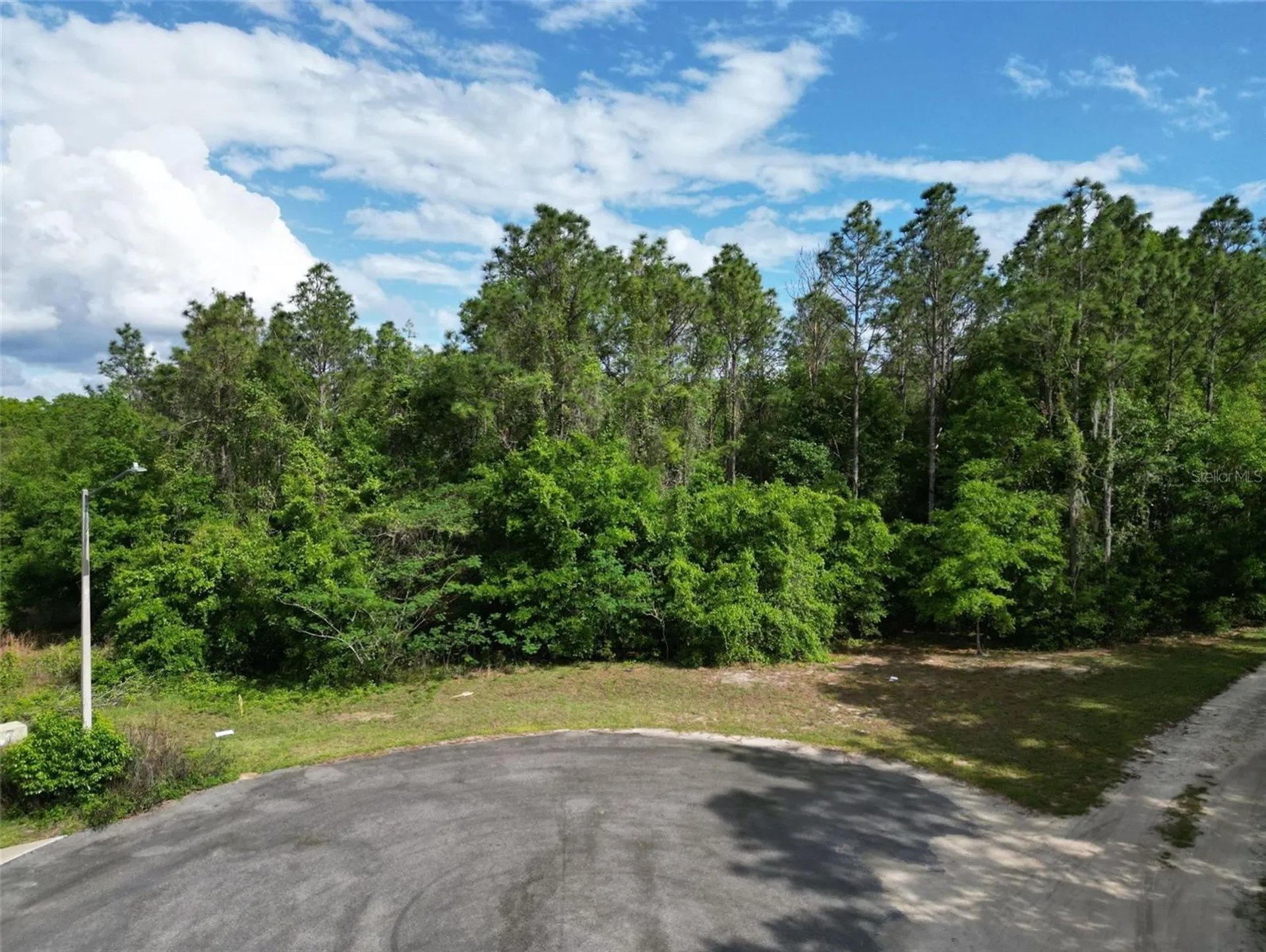 0000 SE 119 Street Belleview FL 34420