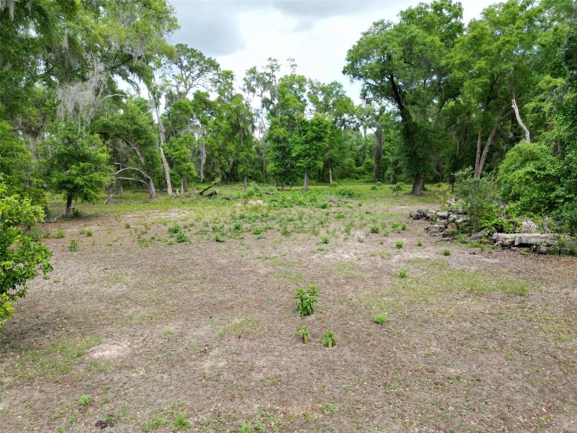 0000 SE 119 Street Belleview FL 34420