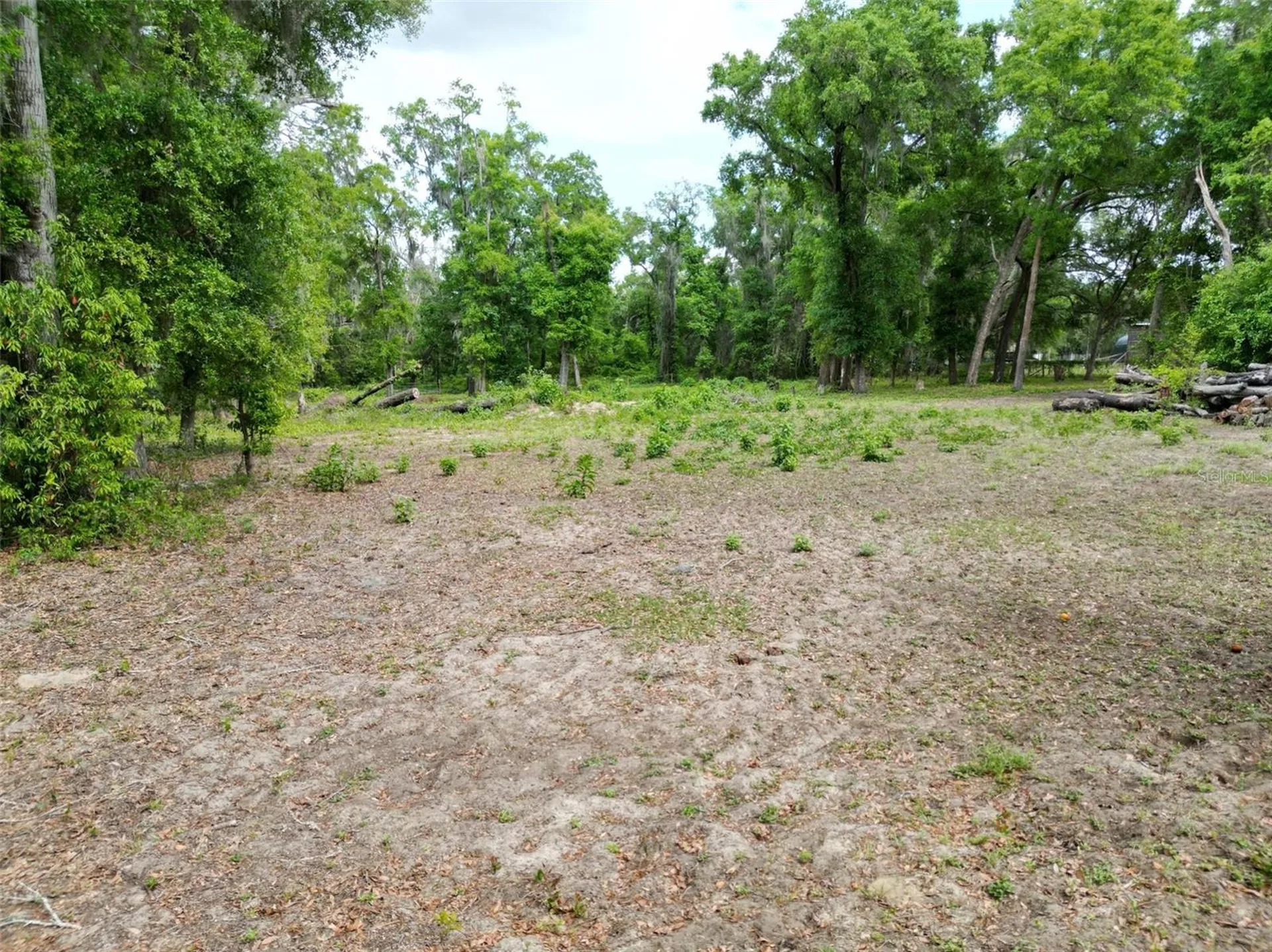 0000 SE 119 Street Belleview FL 34420