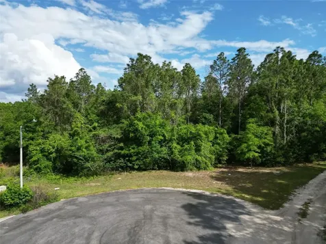 0000 SE 119 Street Belleview FL 34420