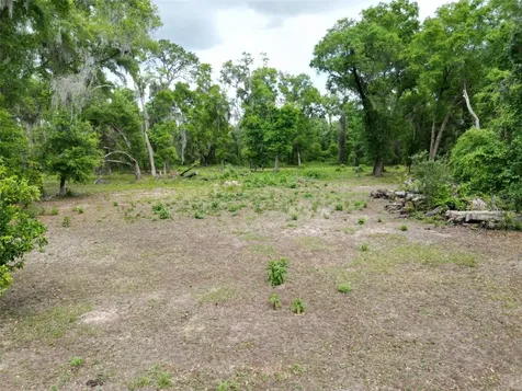0000 SE 119 Street Belleview FL 34420