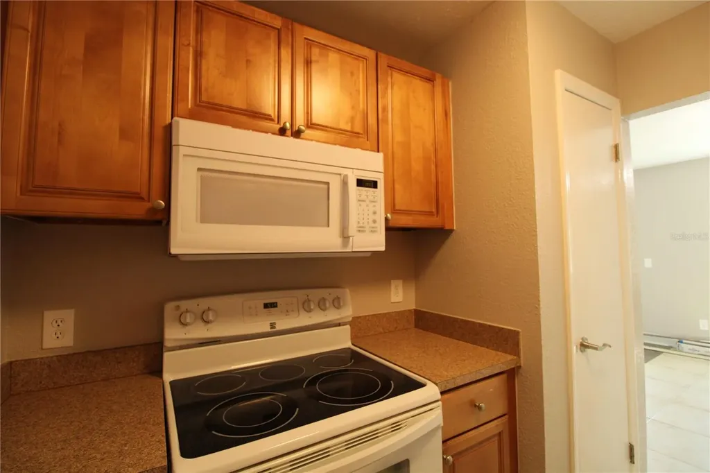 13731 Juniper Blossom Drive Tampa FL 33618