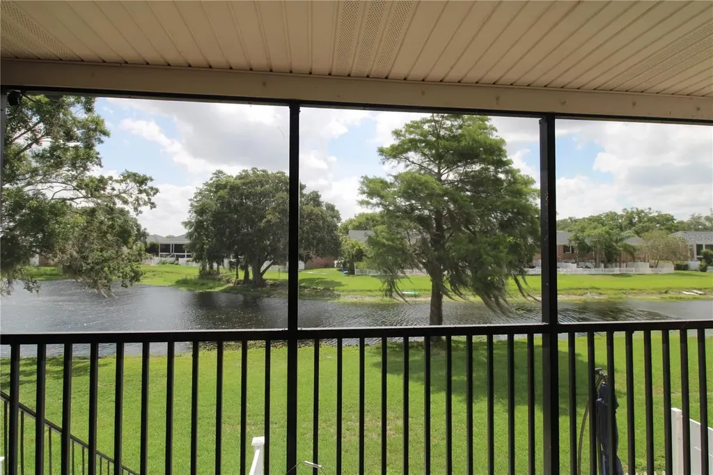 13731 Juniper Blossom Drive Tampa FL 33618
