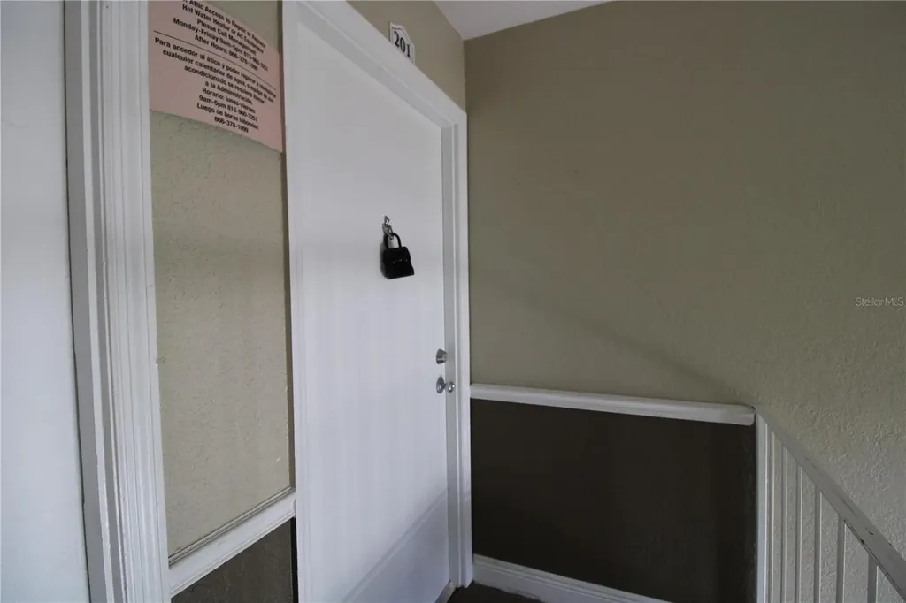 13731 Juniper Blossom Drive Tampa FL 33618
