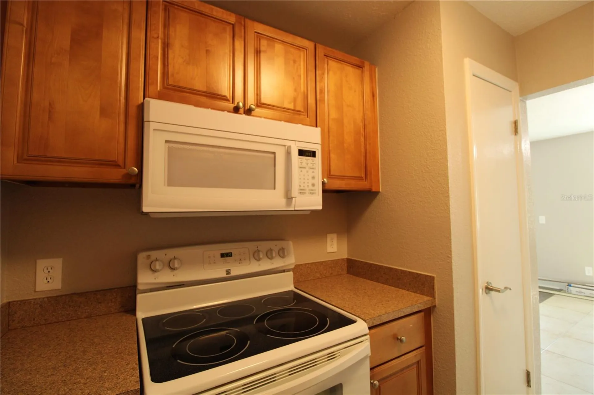 13731 Juniper Blossom Drive Tampa FL 33618