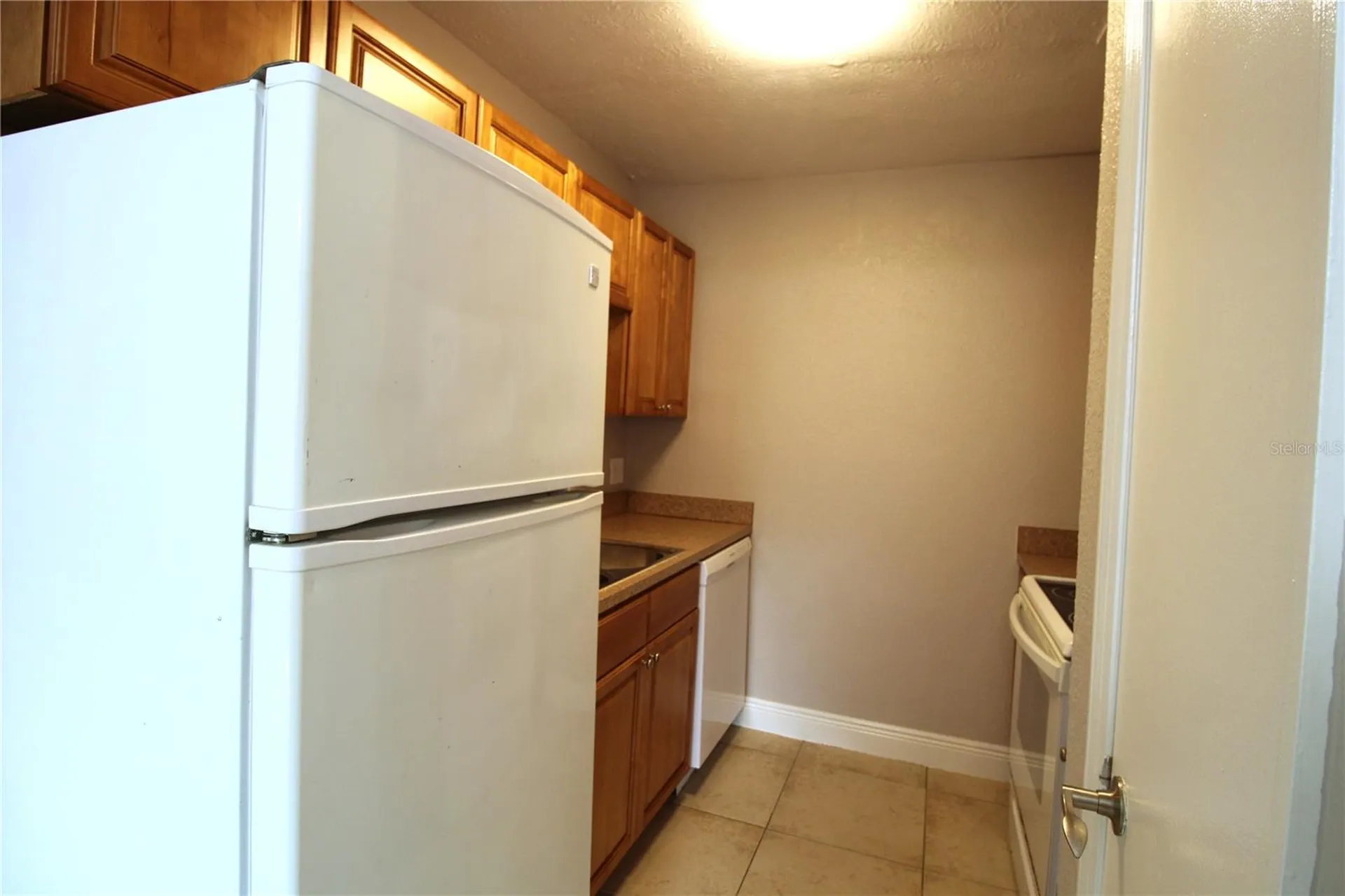 13731 Juniper Blossom Drive Tampa FL 33618