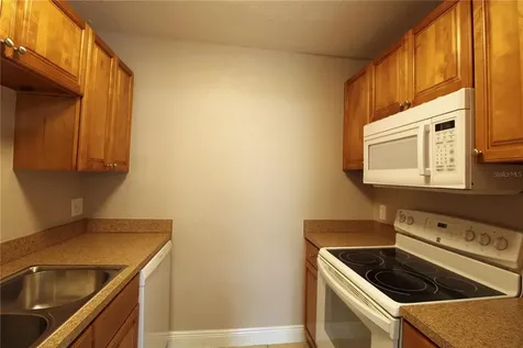 13731 Juniper Blossom Drive Tampa FL 33618