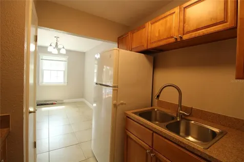 13731 Juniper Blossom Drive Tampa FL 33618