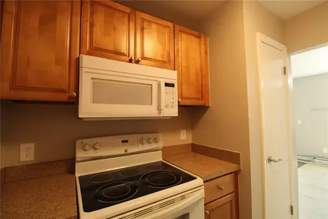 13731 Juniper Blossom Drive Tampa FL 33618
