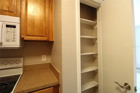 13731 Juniper Blossom Drive Tampa FL 33618