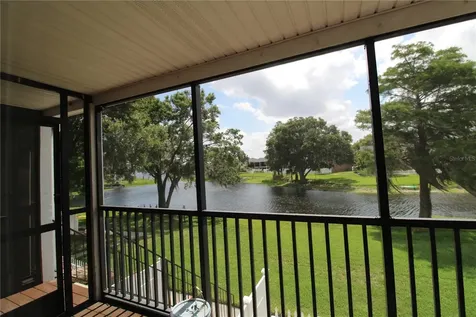 13731 Juniper Blossom Drive Tampa FL 33618