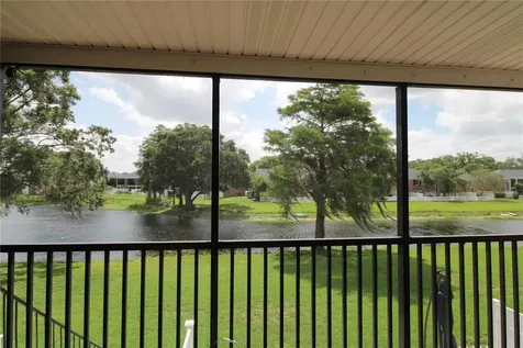13731 Juniper Blossom Drive Tampa FL 33618