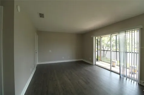 13731 Juniper Blossom Drive Tampa FL 33618