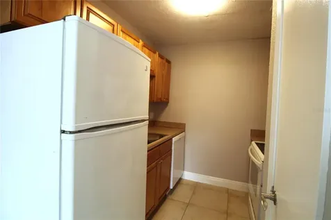 13731 Juniper Blossom Drive Tampa FL 33618