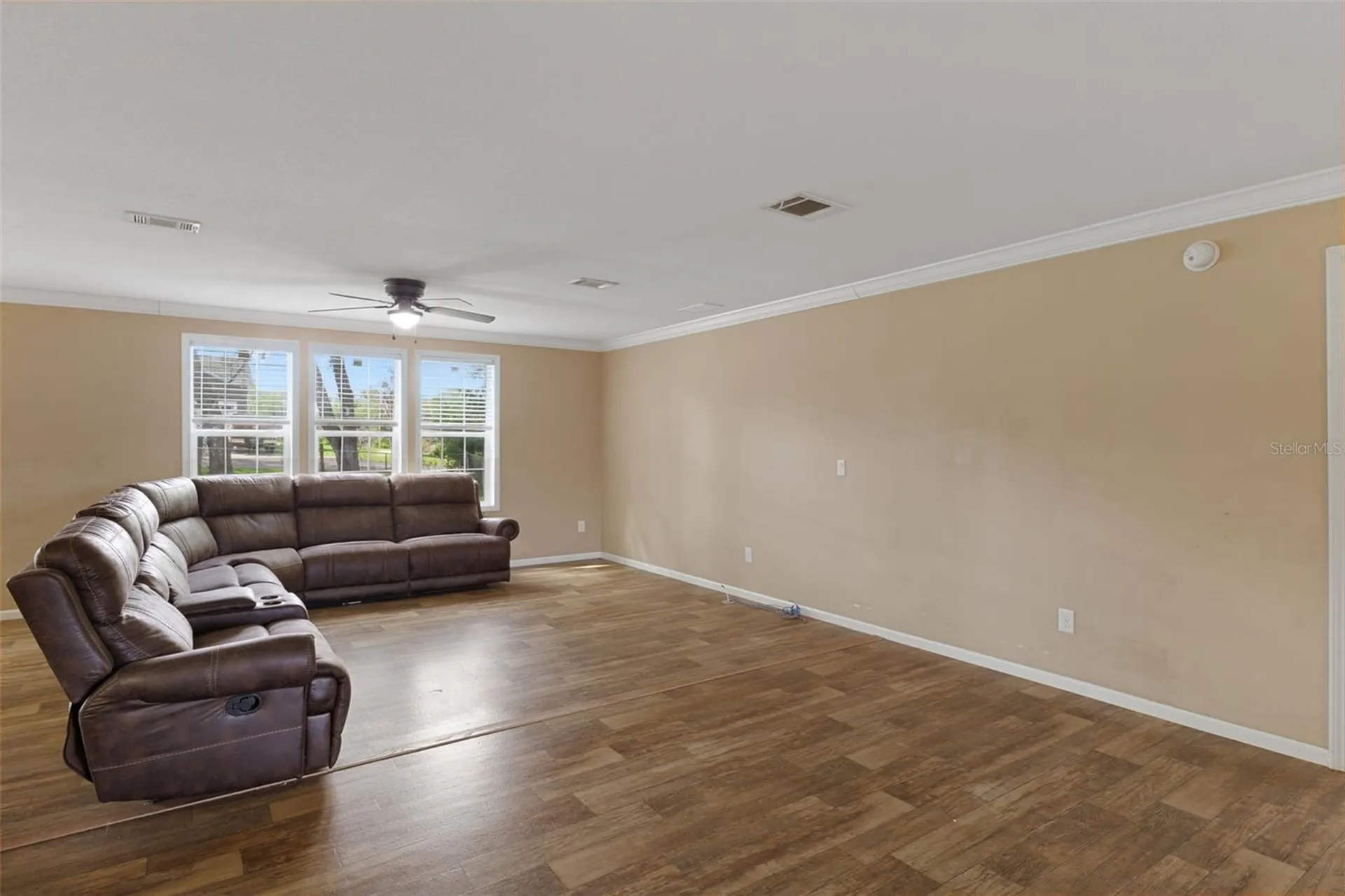 38616 Coleen Avenue Zephyrhills FL 33540
