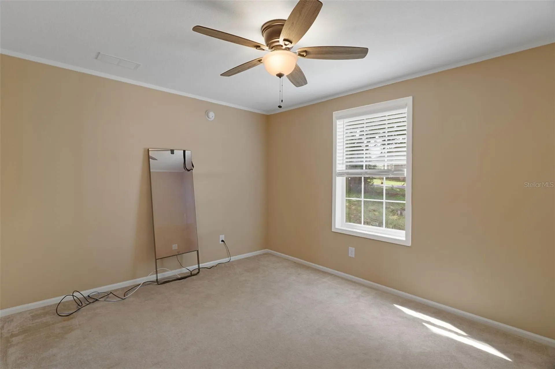 38616 Coleen Avenue Zephyrhills FL 33540