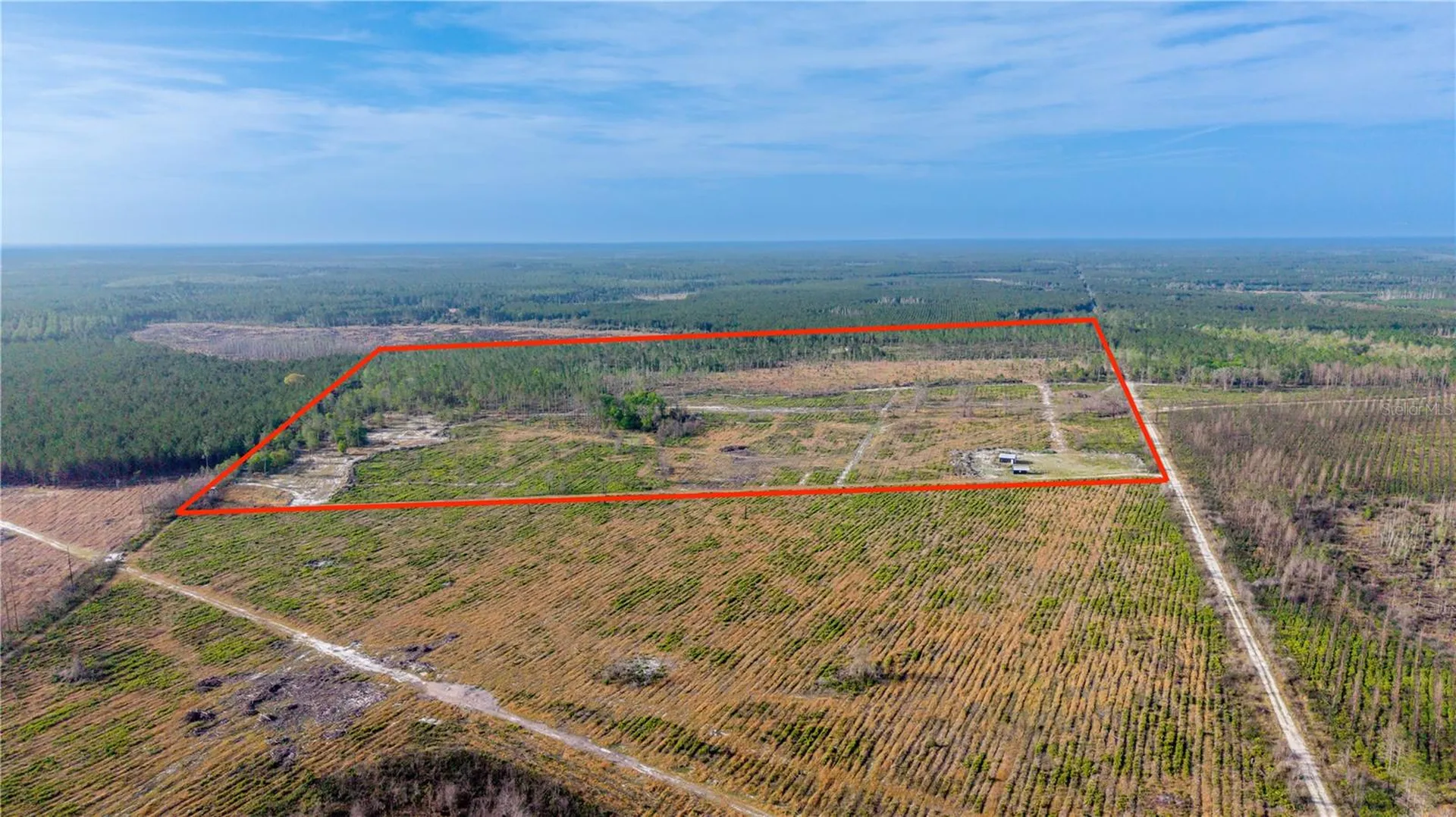19977 NE 83rd Way Gainesville FL 32609