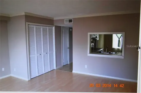 13735 Juniper Blossom Drive Tampa FL 33618