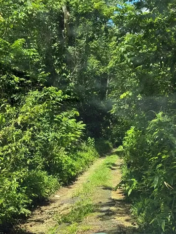 Road 486 Km 7.5 Abra Honda Camuy PR 00627