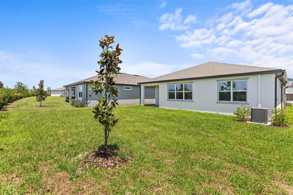 6703 Michael Favor Way Wesley Chapel FL 33545