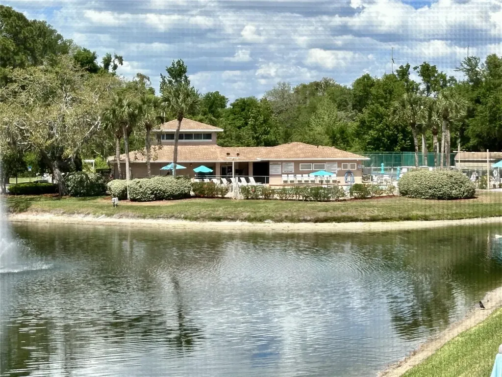 6519 Spring Flower Drive New Port Richey FL 34653