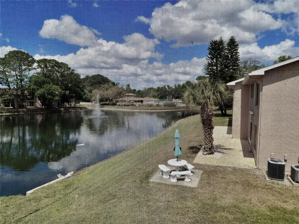 6519 Spring Flower Drive New Port Richey FL 34653