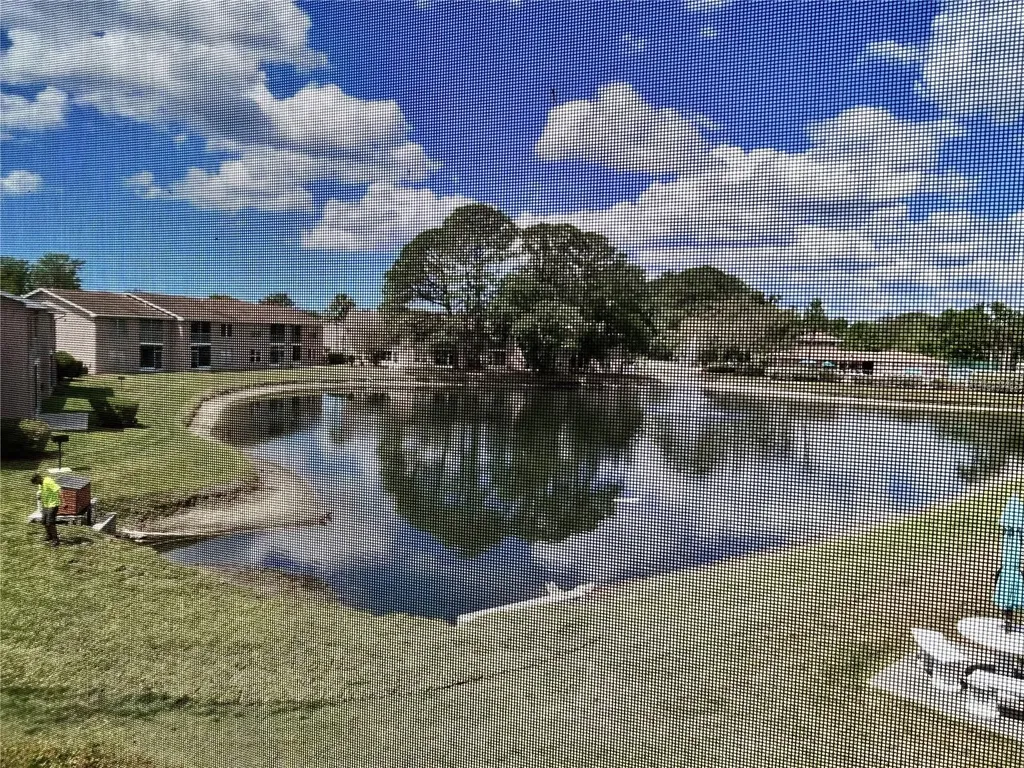 6519 Spring Flower Drive New Port Richey FL 34653