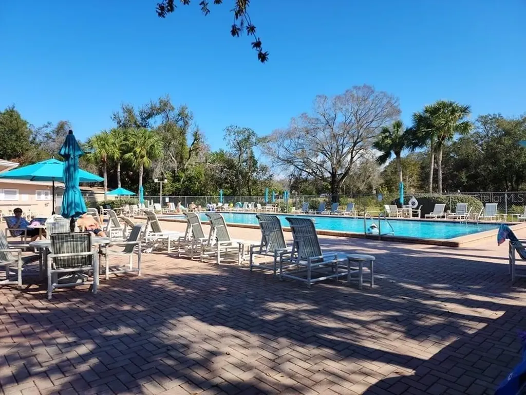 6519 Spring Flower Drive New Port Richey FL 34653